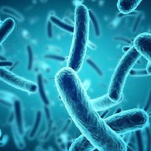 Illustration of bacteria